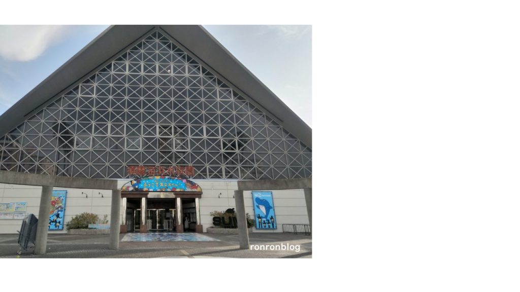 関西遊びスポット・神戸市立須磨水族館【スマスイ】