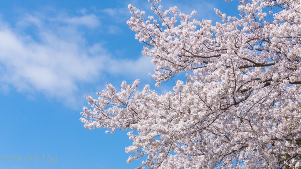 薬の違いを知って自分に合った使い方をしよう