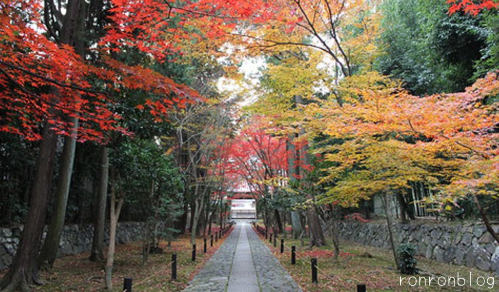神社の正しい参拝方法の大事なポイント