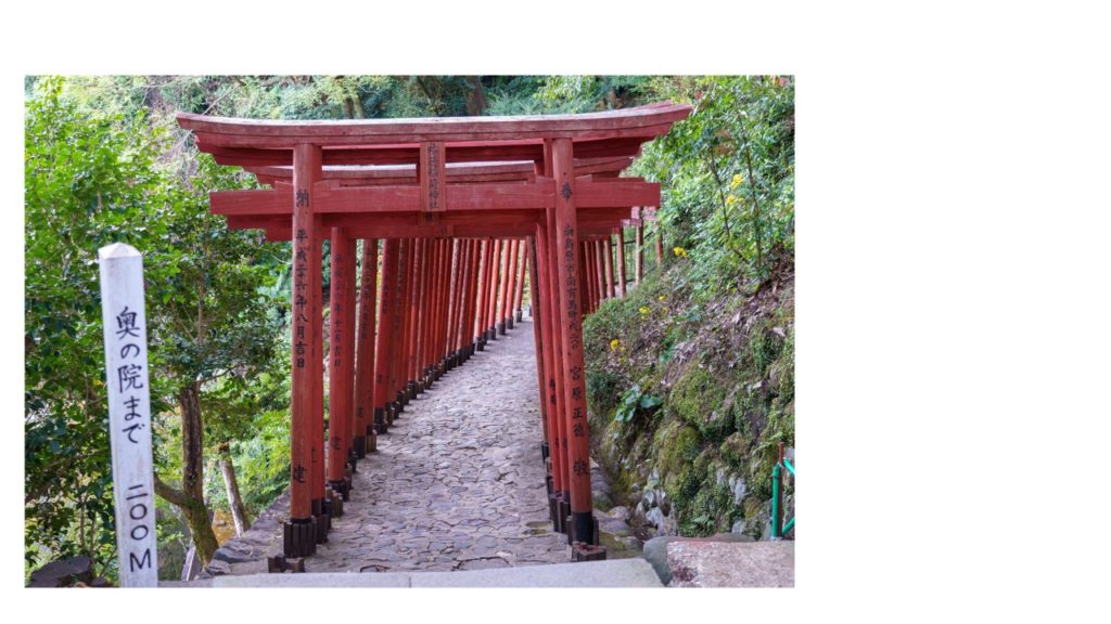 あなたの県は入ってる?緊急中継!ナゼ今!?人が殺到!47都道府県人気急上昇!ランキング2020まとめ