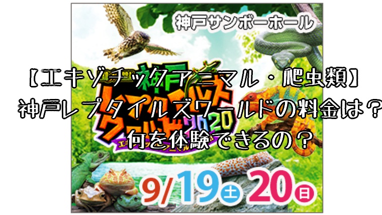 エキゾチックアニマル 爬虫類 神戸レプタイルズワールドの料金は 何を体験できるの